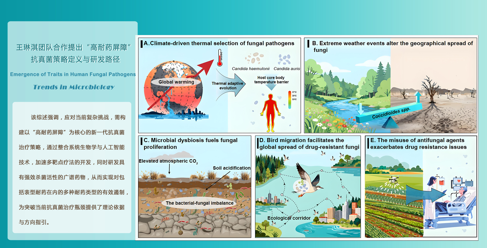 微生物所王琳淇团队合作提出“高耐药屏障”抗真菌策略定义与研发路径